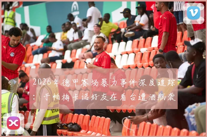 2026年德甲赛场暴力事件深度追踪：于帕梅卡诺好友在看台遭酒瓶袭击血流满面，图片报独家披露现场细节与后续处理
